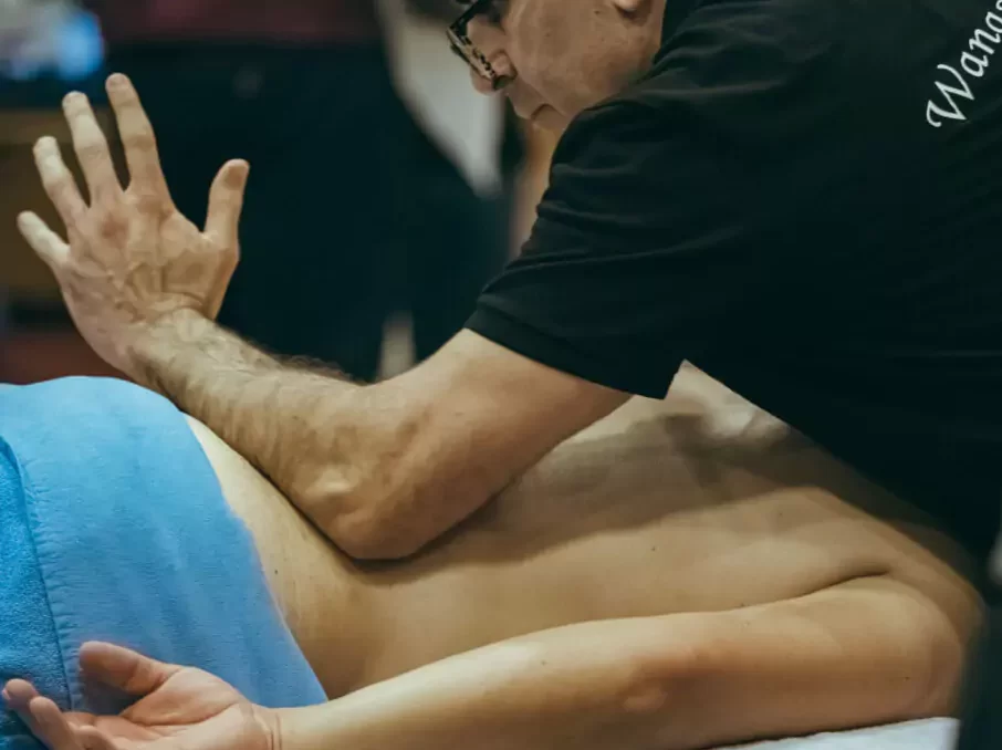 Massage Therapist